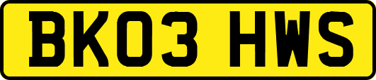 BK03HWS