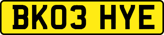 BK03HYE
