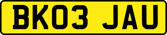 BK03JAU