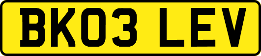 BK03LEV