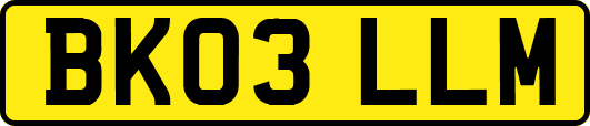 BK03LLM