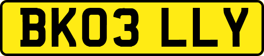 BK03LLY