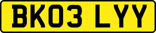 BK03LYY