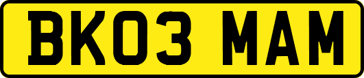 BK03MAM
