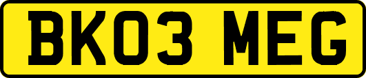 BK03MEG