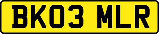 BK03MLR