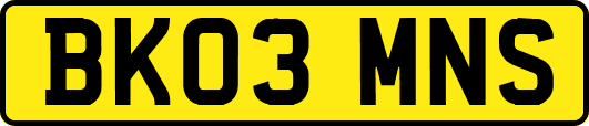 BK03MNS