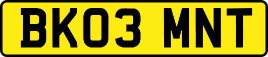 BK03MNT