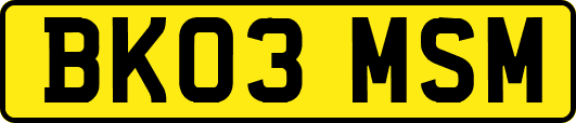BK03MSM