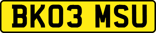 BK03MSU
