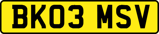 BK03MSV
