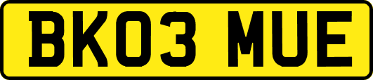 BK03MUE