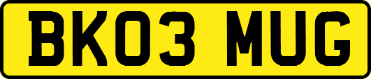 BK03MUG
