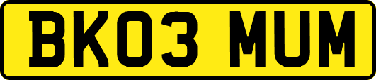 BK03MUM