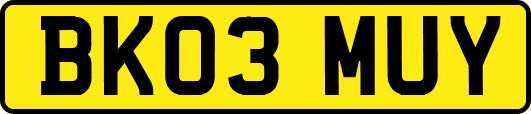 BK03MUY