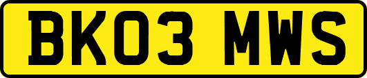 BK03MWS