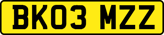 BK03MZZ
