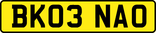 BK03NAO