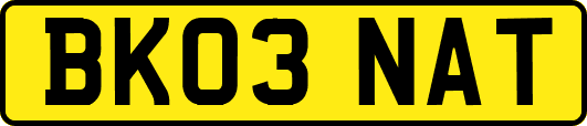 BK03NAT