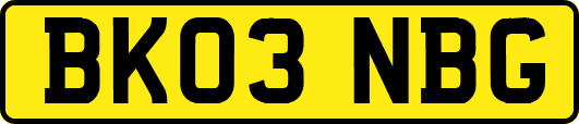 BK03NBG