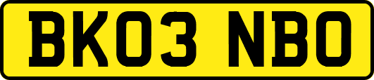 BK03NBO