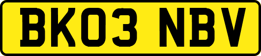 BK03NBV