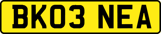 BK03NEA