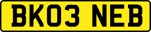 BK03NEB