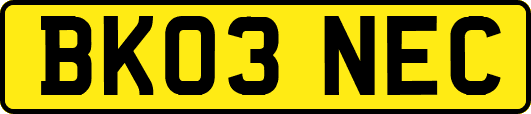 BK03NEC