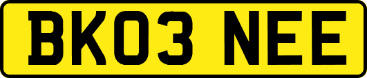 BK03NEE