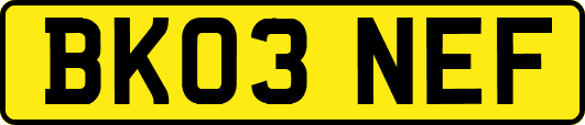BK03NEF