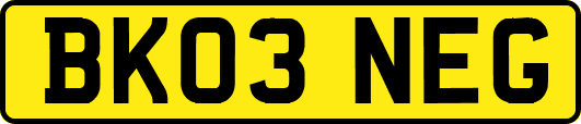 BK03NEG