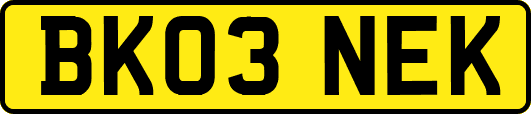 BK03NEK