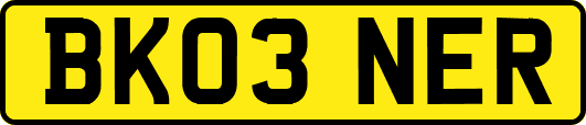 BK03NER