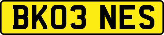BK03NES