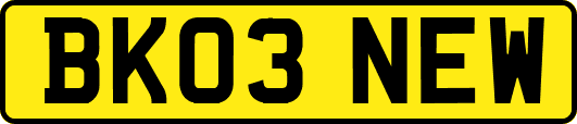 BK03NEW
