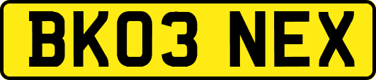 BK03NEX