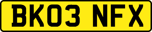 BK03NFX