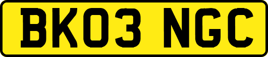 BK03NGC