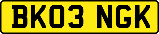 BK03NGK