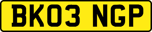 BK03NGP
