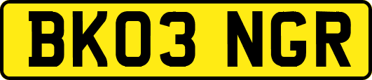 BK03NGR