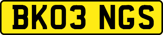 BK03NGS