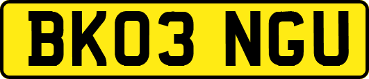 BK03NGU