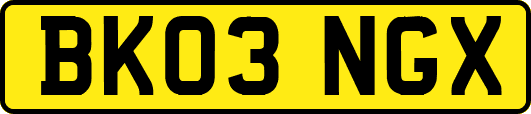 BK03NGX