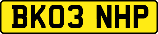 BK03NHP
