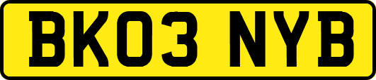 BK03NYB