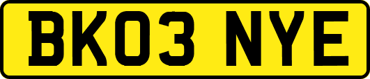 BK03NYE