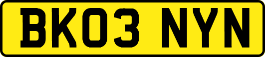 BK03NYN