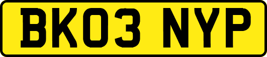 BK03NYP